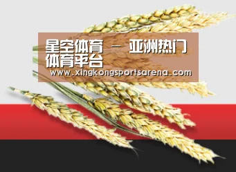 星空体育 - 亚洲热门体育平台